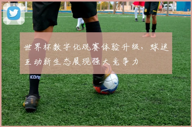 世界杯数字化观赛体验升级，球迷互动新生态展现强大竞争力