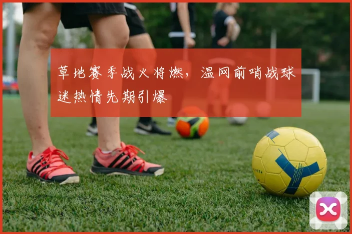 草地赛季战火将燃，温网前哨战球迷热情先期引爆